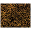 f05535cc-54fe-4b23-a537-d15b159c8bae